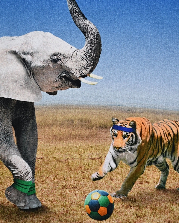 MOLO Толстовка