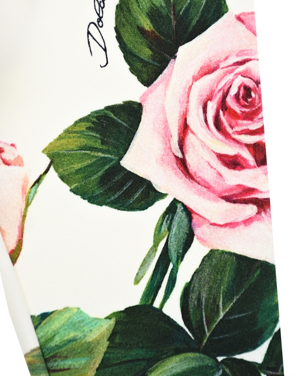 Dolce&Gabbana Леггинсы